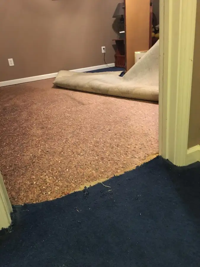 Carpet pad removal revealing water damage during Water Mitigation Services in Westerville